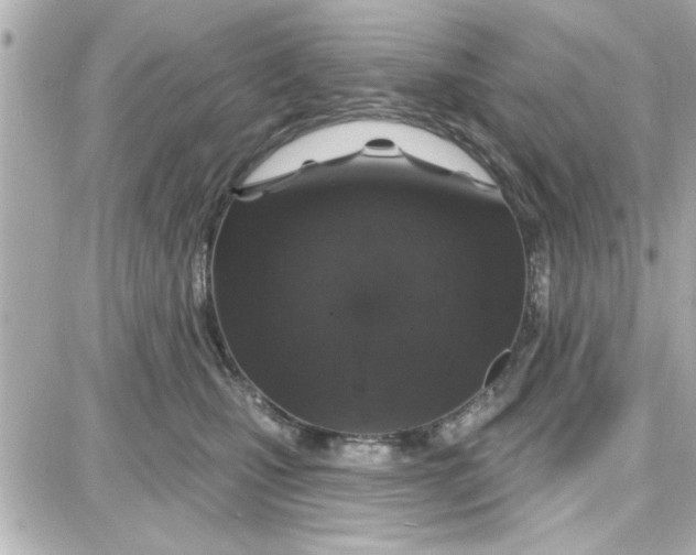 X0000087680471200705251648