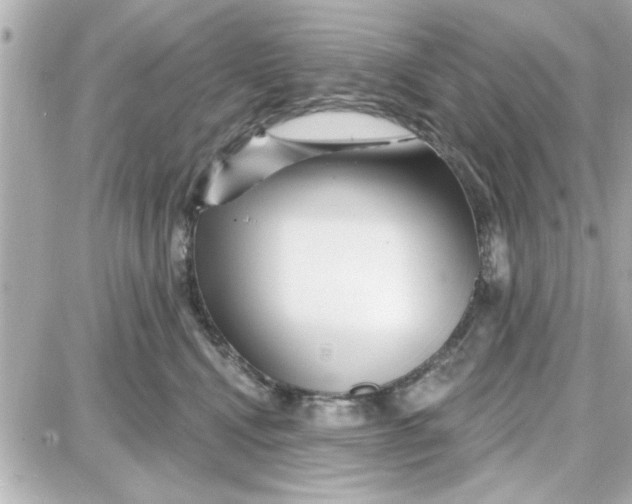 X0000087680472200705251648