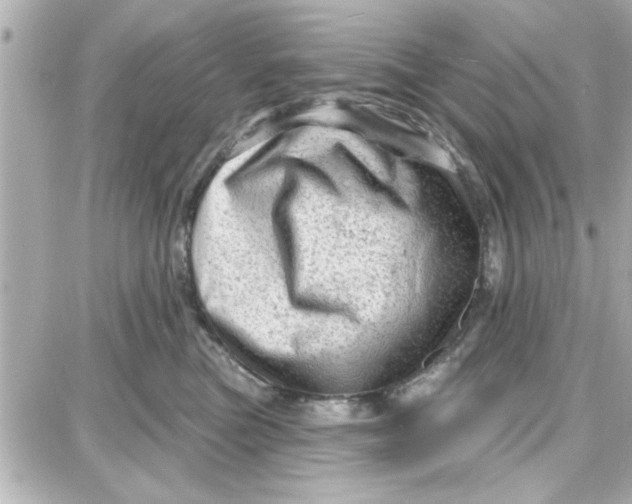 X0000087680473200705251648