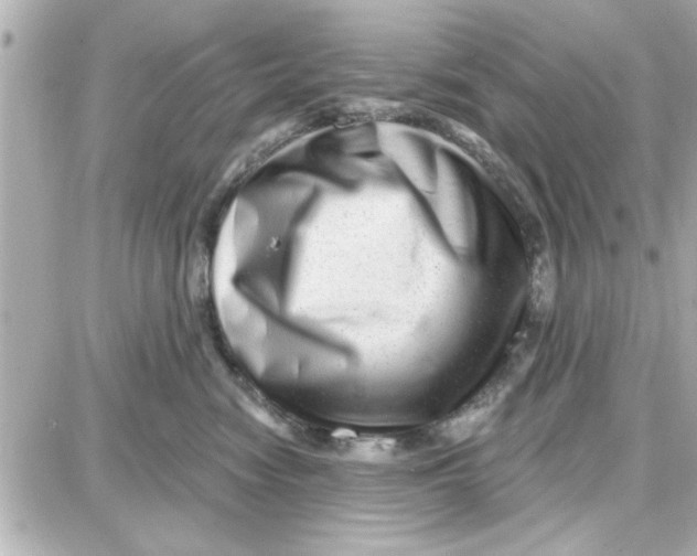 X0000087680474200705251648