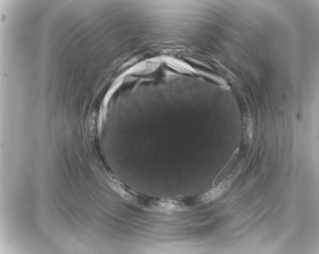 X0000087680475200705251648