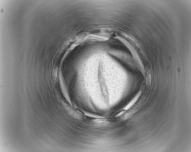 X0000087680477200705251648