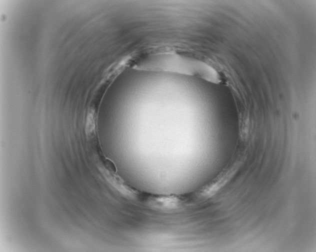 X0000087680478200705251648