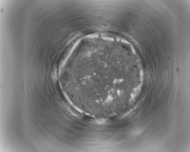 X0000087680479200705251648