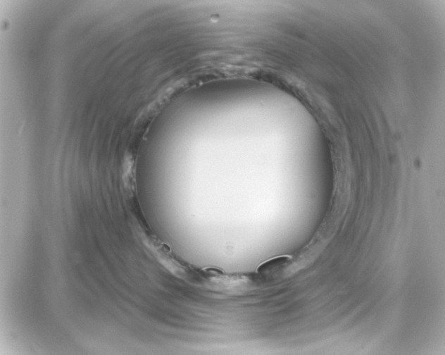 X0000087680480200705251648