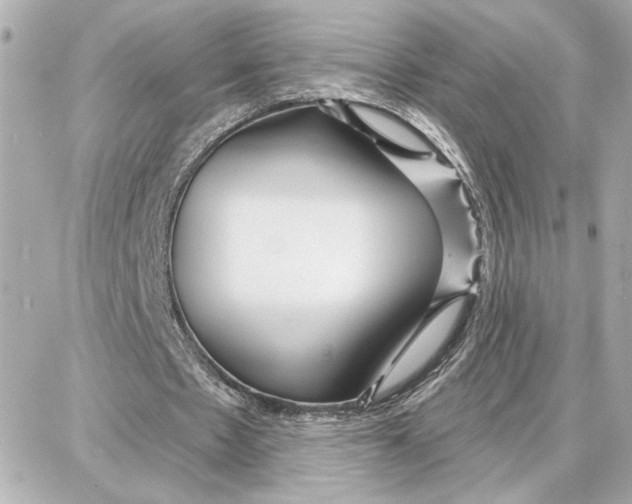 X0000087680481200705251647