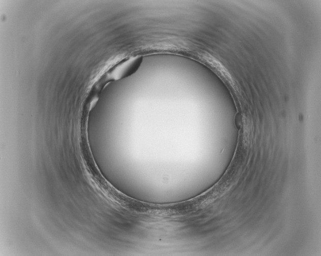 X0000087680482200705251647