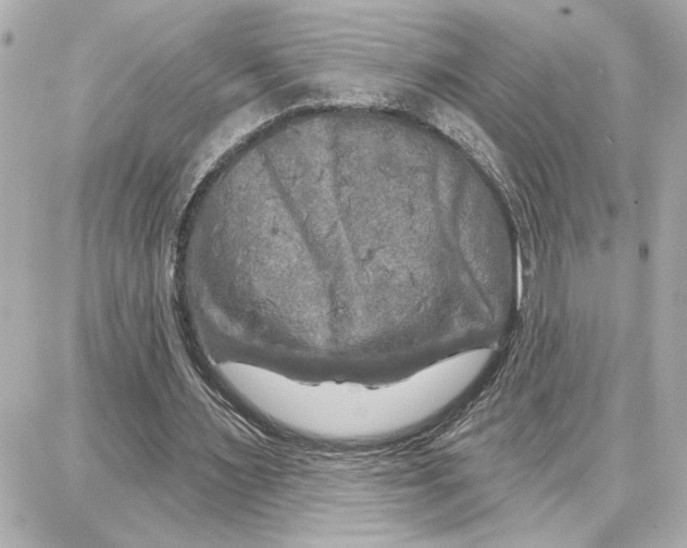 X0000087680483200705251647