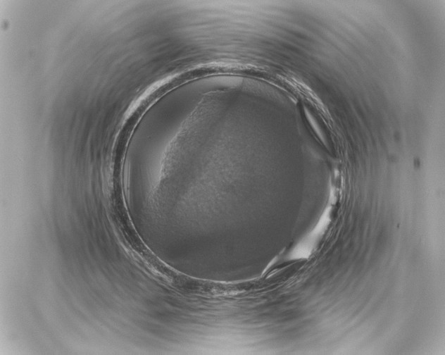 X0000087680484200705251647