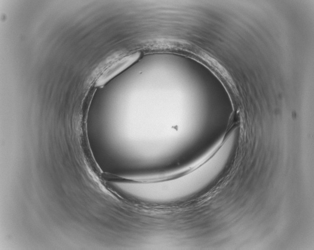 X0000087680485200705251647