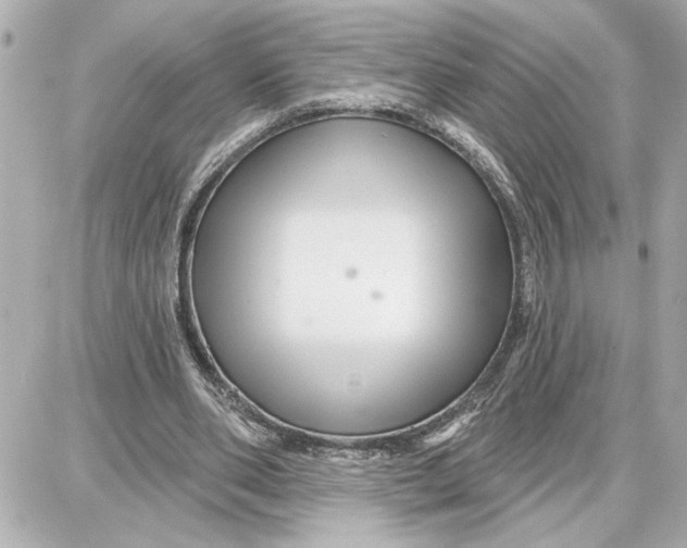 X0000087680486200705251647