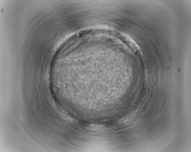 X0000087680487200705251647