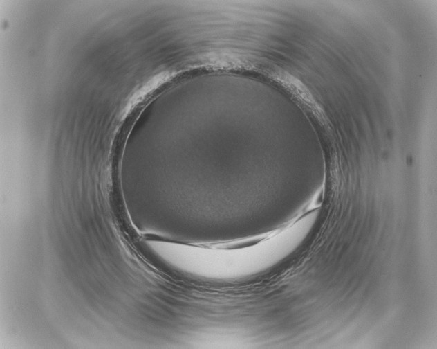 X0000087680488200705251647