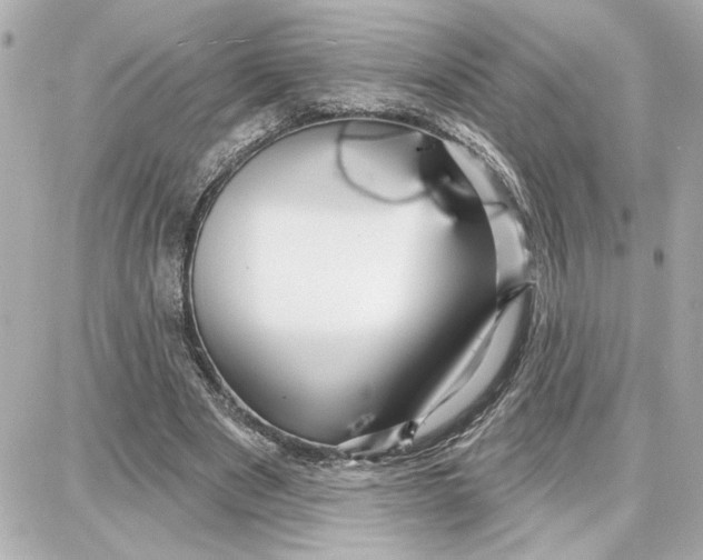 X0000087680489200705251647