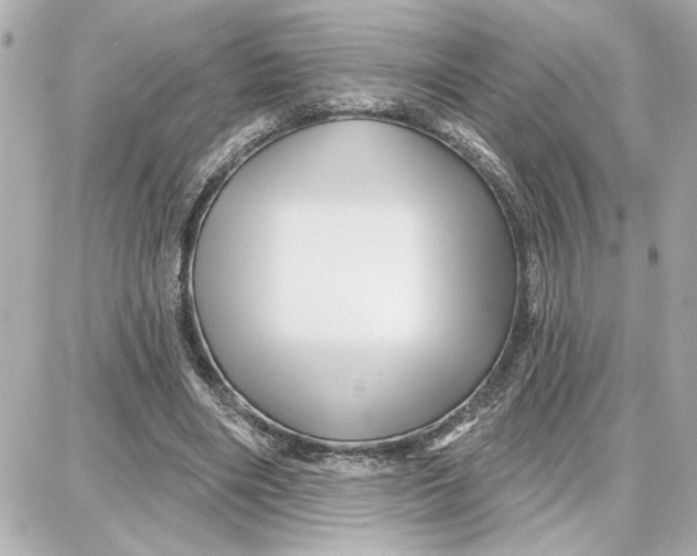 X0000087680490200705251647