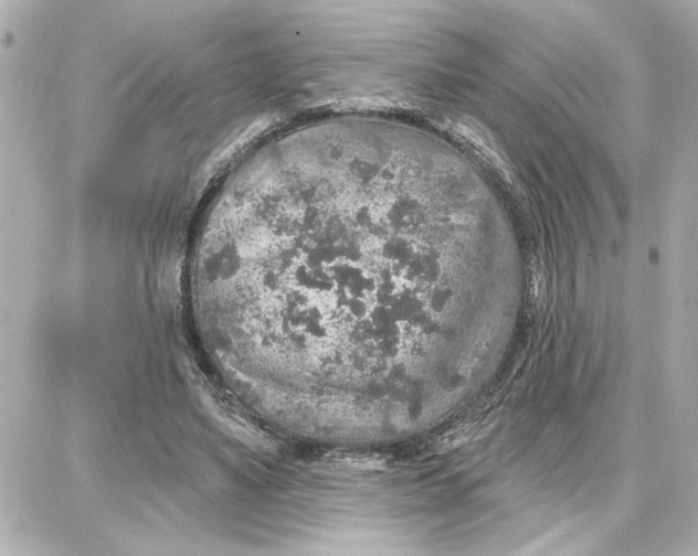 X0000087680491200705251647