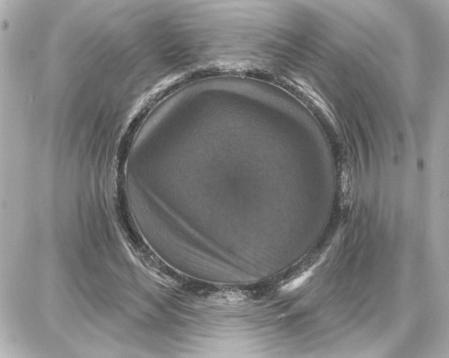 X0000087680492200705251647