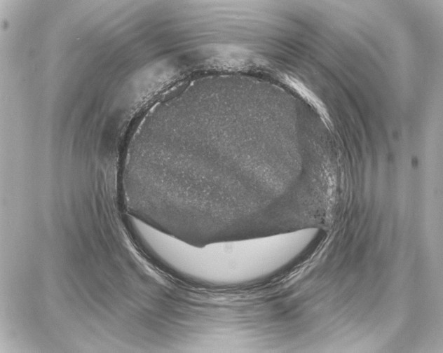 X0000087680493200705251647