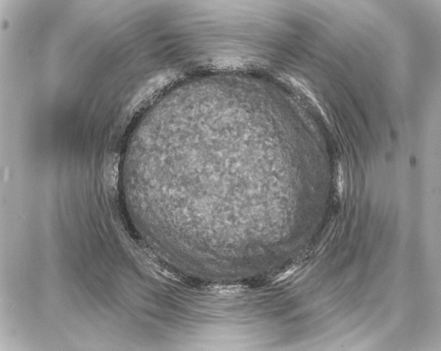 X0000087680495200705251647