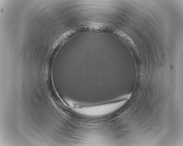 X0000087680496200705251647