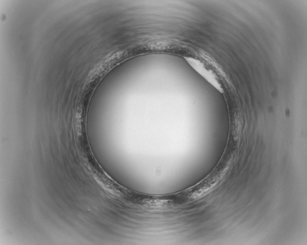 X0000087680497200705251647