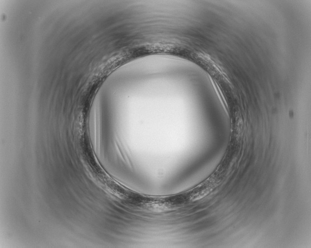 X0000087680498200705251647