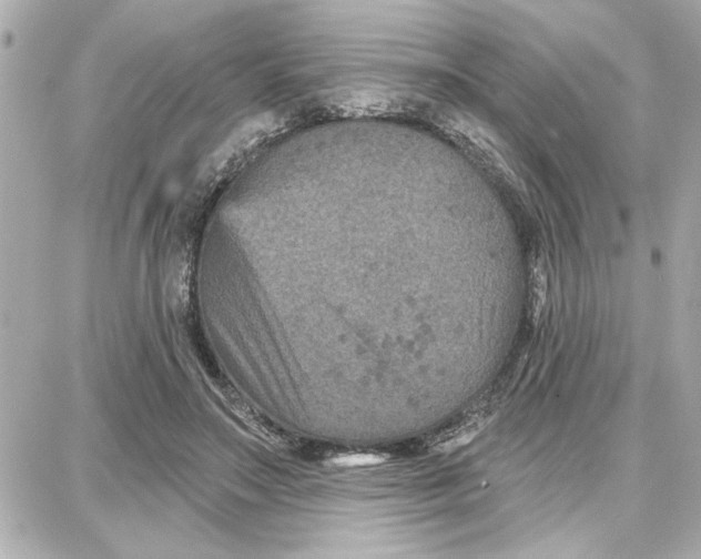 X0000087680499200705251647