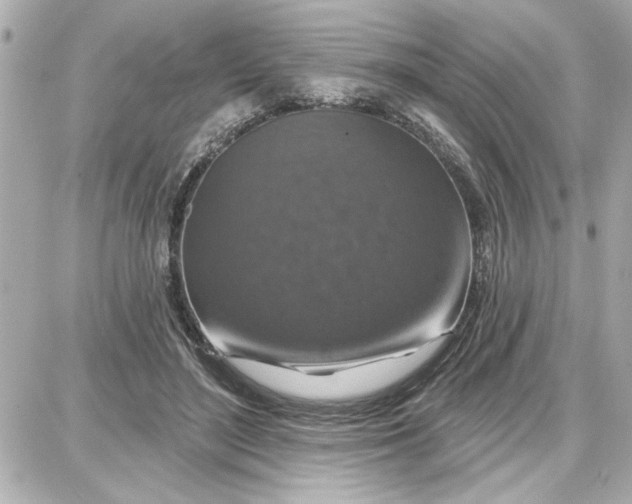 X0000087680500200705251647