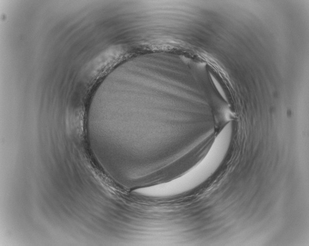 X0000087680501200705251647