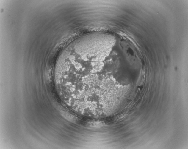 X0000087680503200705251647