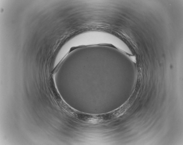 X0000087680504200705251647