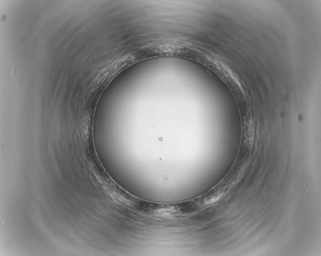 X0000087680505200705251647