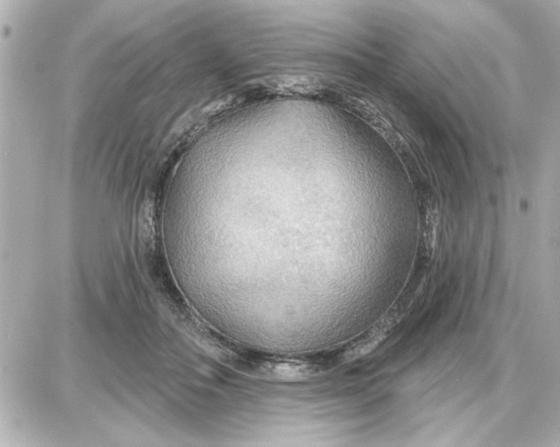 X0000087680506200705251647