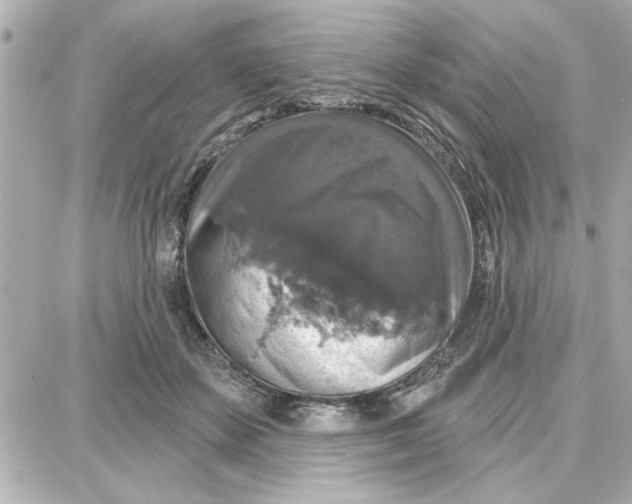 X0000087680507200705251647