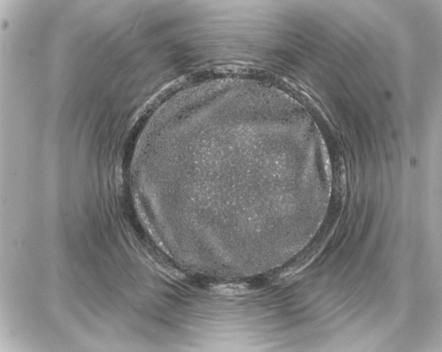 X0000087680508200705251647