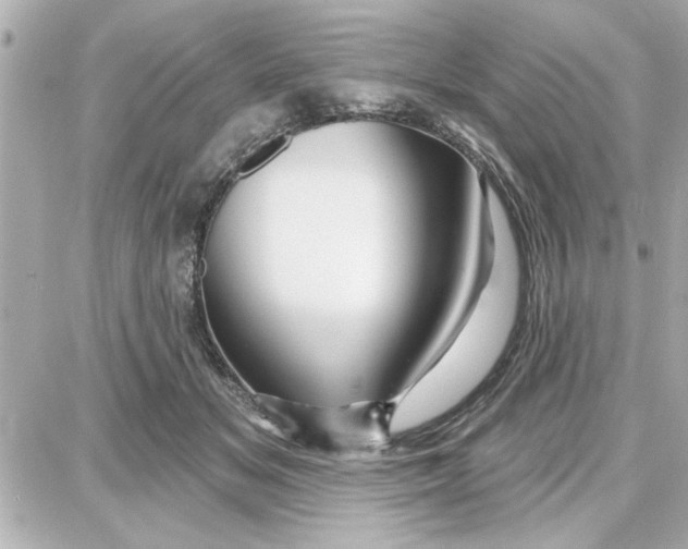 X0000087680509200705251647