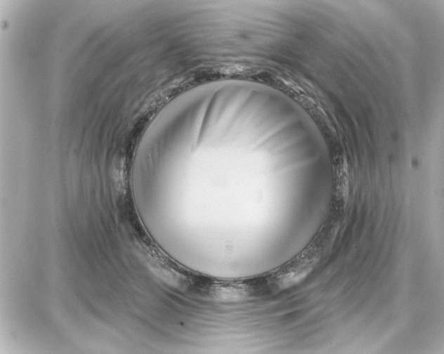 X0000087680510200705251647