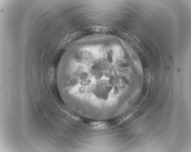 X0000087680511200705251647