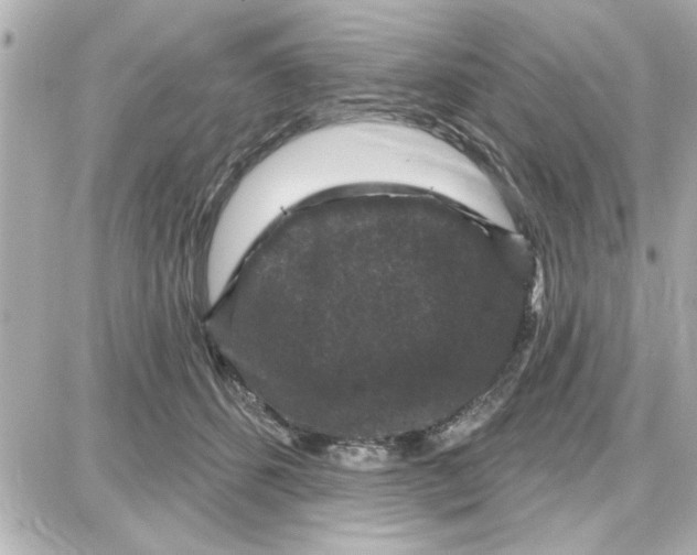 X0000087680512200705251647