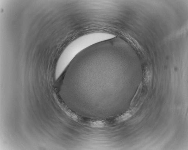 X0000087680513200705251647