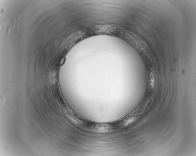 X0000087680514200705251647