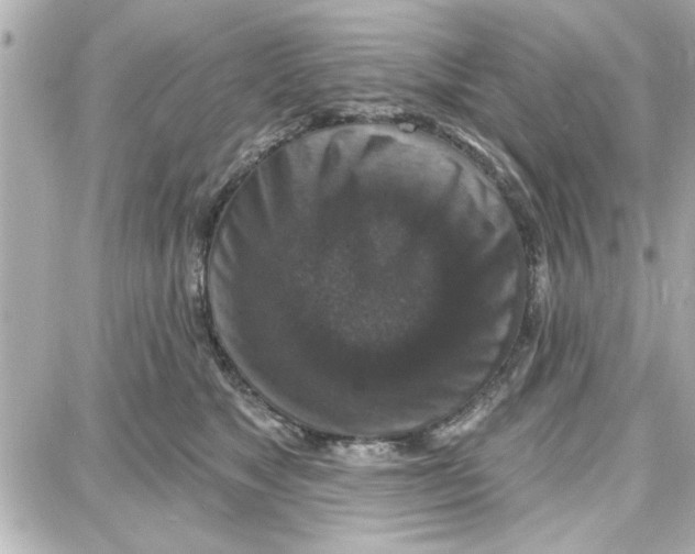 X0000087680517200705251647