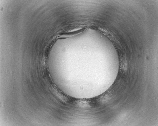 X0000087680518200705251647