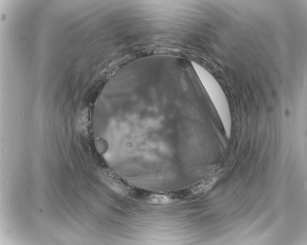 X0000087680519200705251647