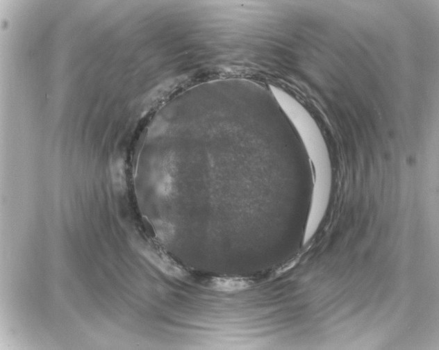 X0000087680520200705251647