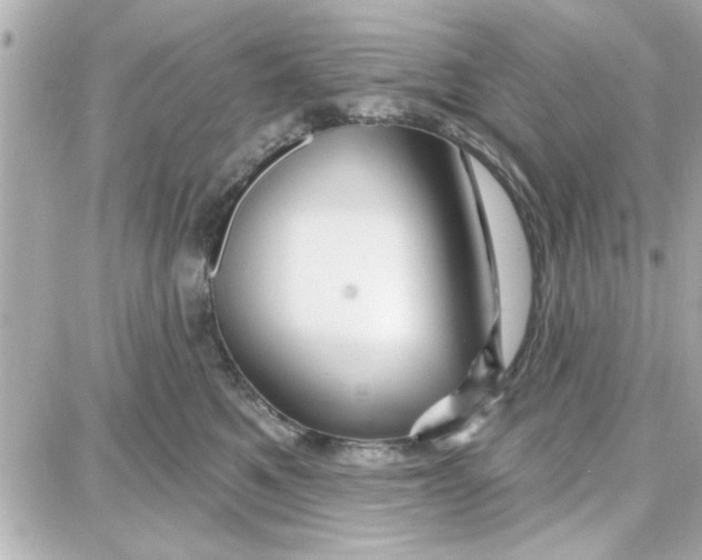 X0000087680521200705251647