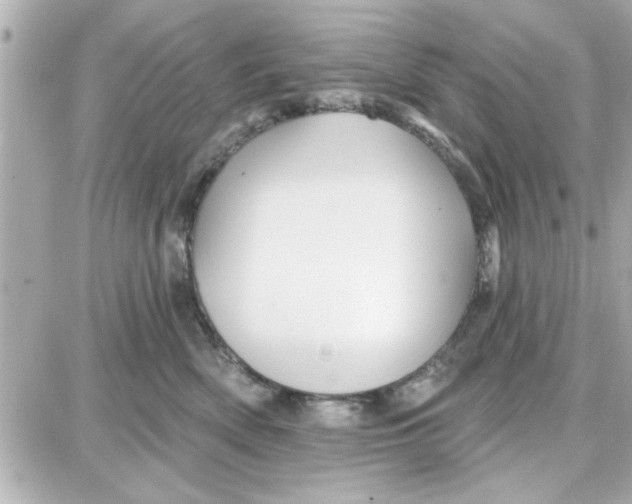 X0000087680522200705251647