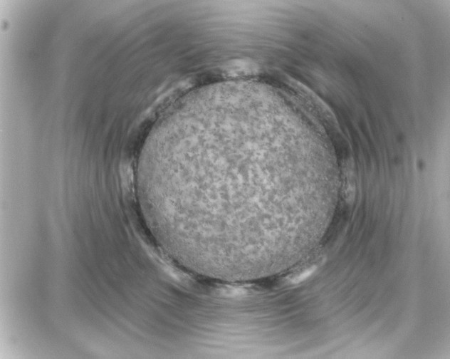 X0000087680523200705251647