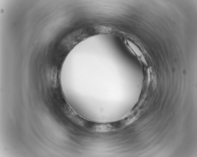 X0000087680525200705251647