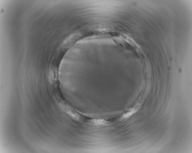 X0000087680528200705251647